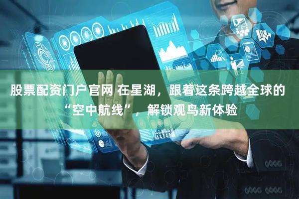 股票配资门户官网 在星湖，跟着这条跨越全球的 “空中航线”，解锁观鸟新体验