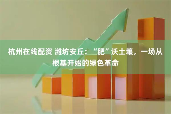 杭州在线配资 潍坊安丘：“肥”沃土壤，一场从根基开始的绿色革命