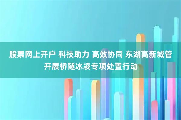 股票网上开户 科技助力 高效协同 东湖高新城管开展桥隧冰凌专项处置行动