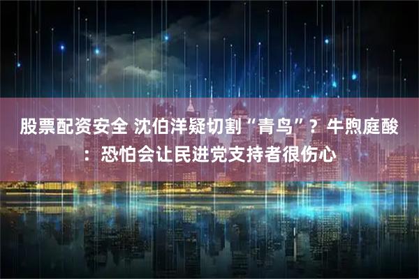 股票配资安全 沈伯洋疑切割“青鸟”？牛煦庭酸：恐怕会让民进党支持者很伤心