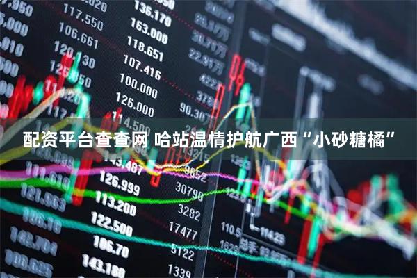 配资平台查查网 哈站温情护航广西“小砂糖橘”